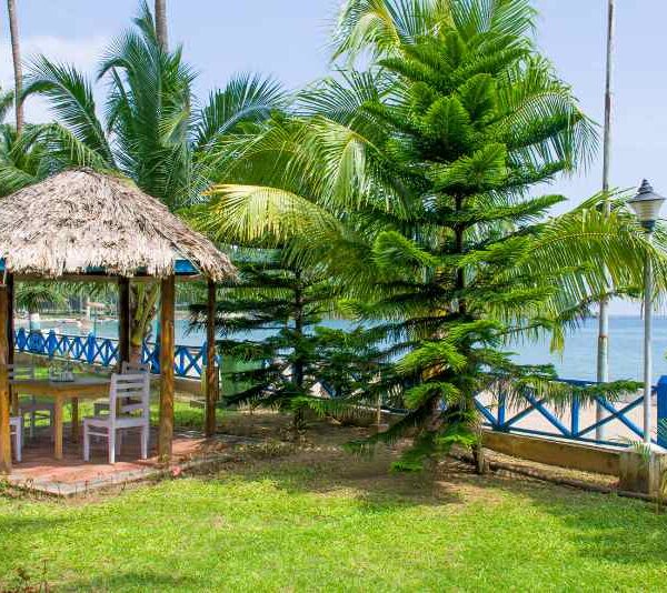 4 Nights/ 5 Days Andaman Package